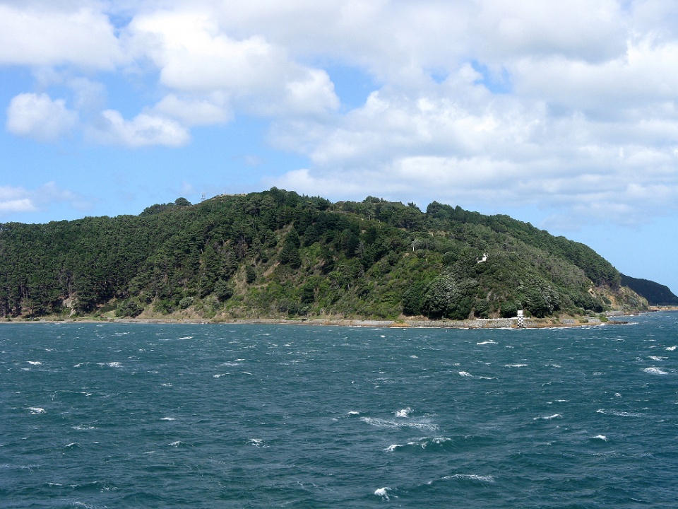 Wooded Coast Heading Out to the Cook Strait